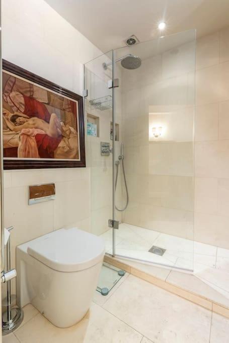 Luxurious Warm Of 70m2 On Sloane Street